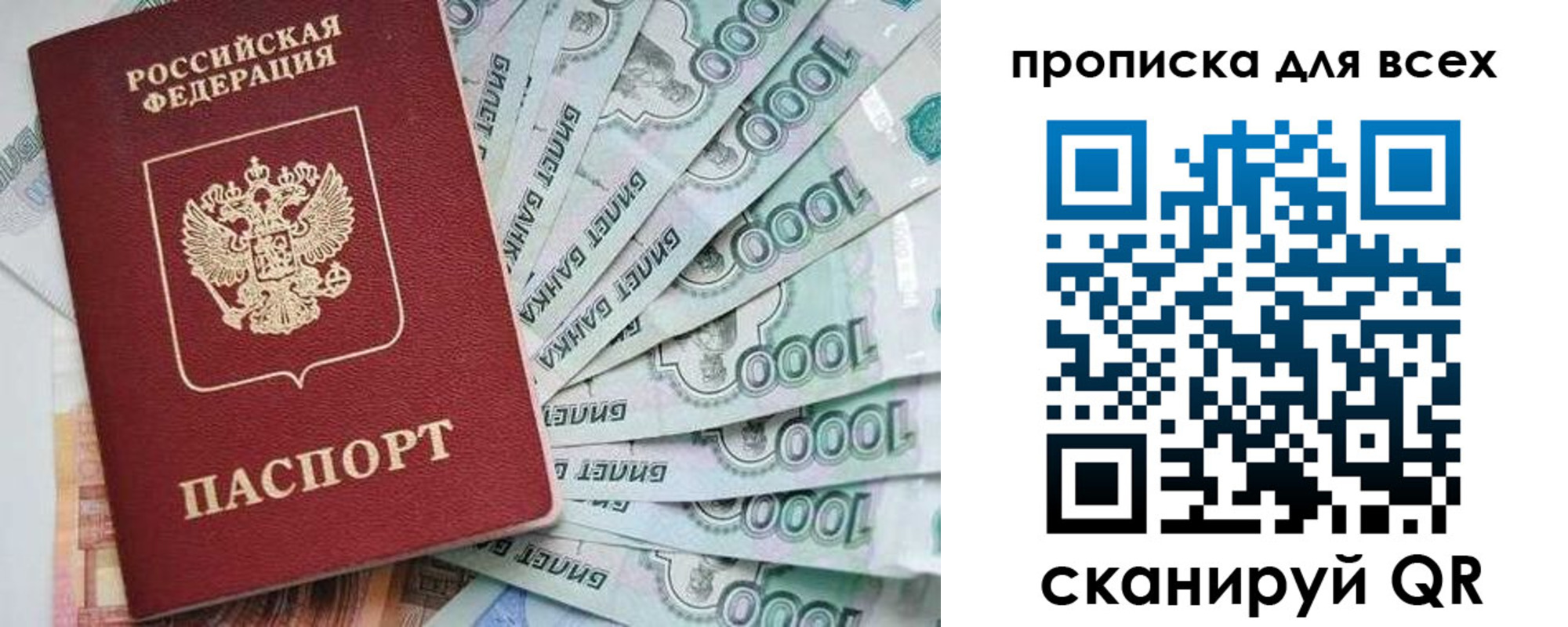 прописка гарантия в Невеле